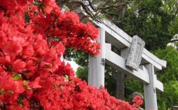 Katano Shrine