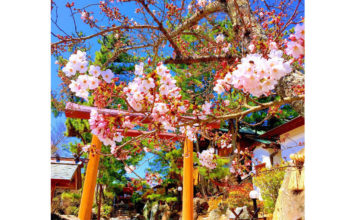 Tennomiya shrine
